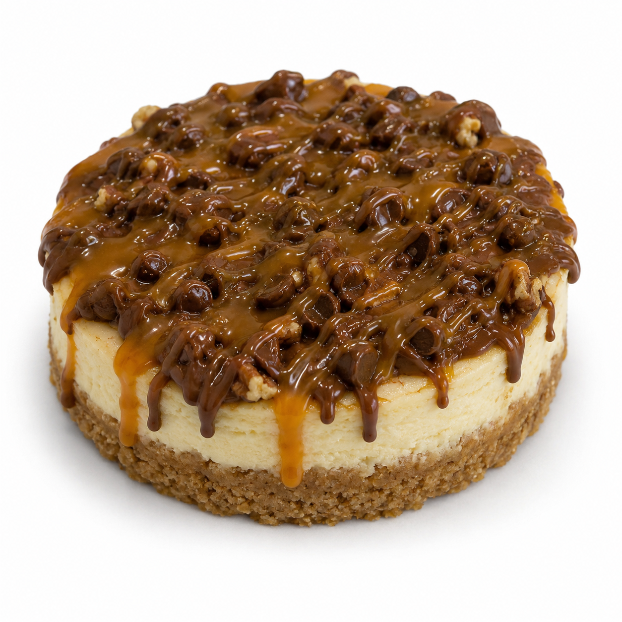 Cheesecake Tortuga